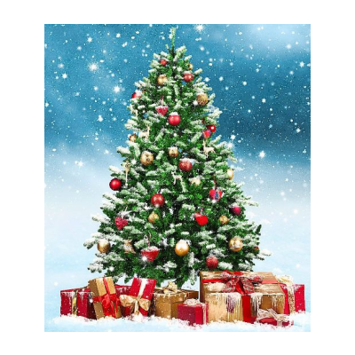 Information for the holidays - 