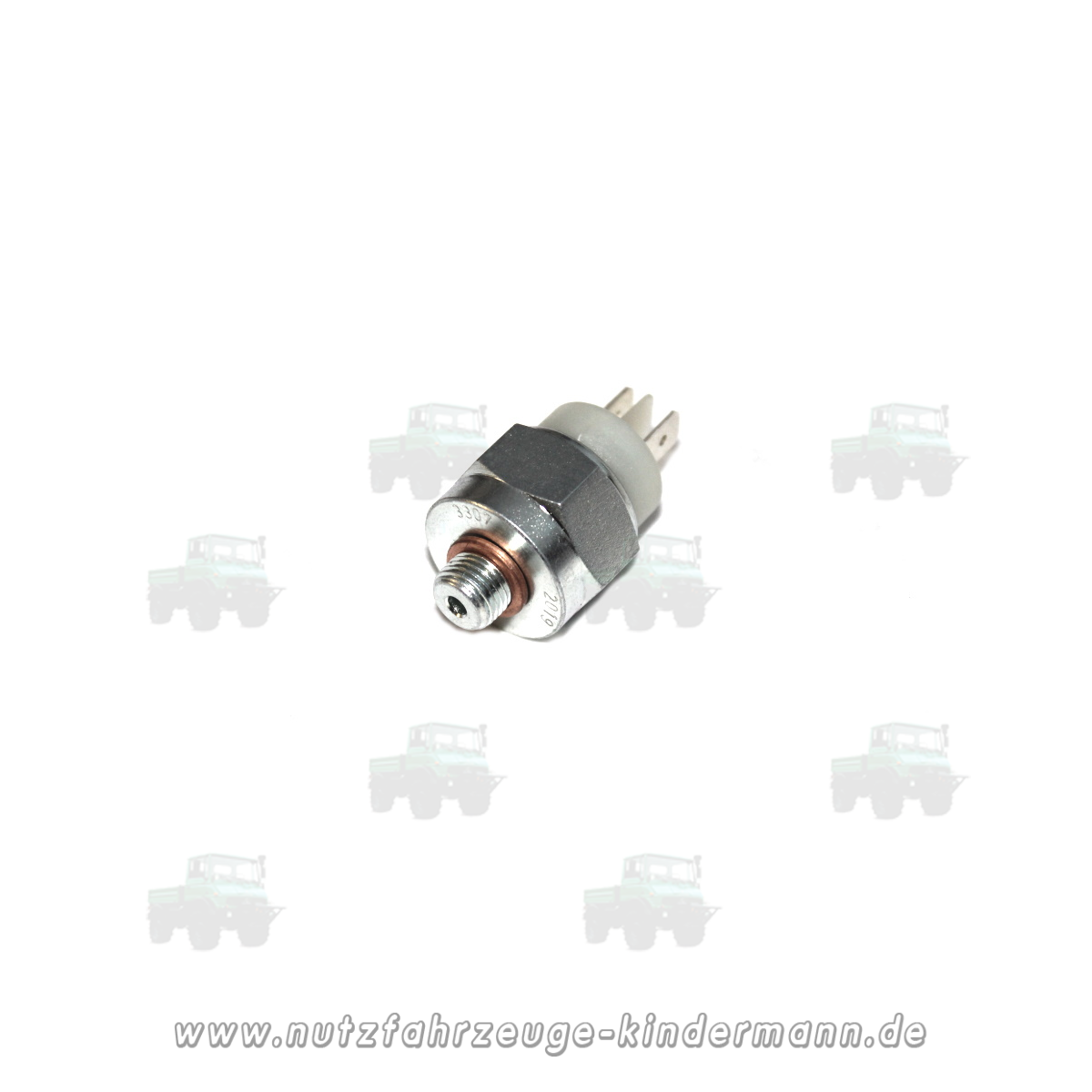 Brake light switch (on master brake cylinder)