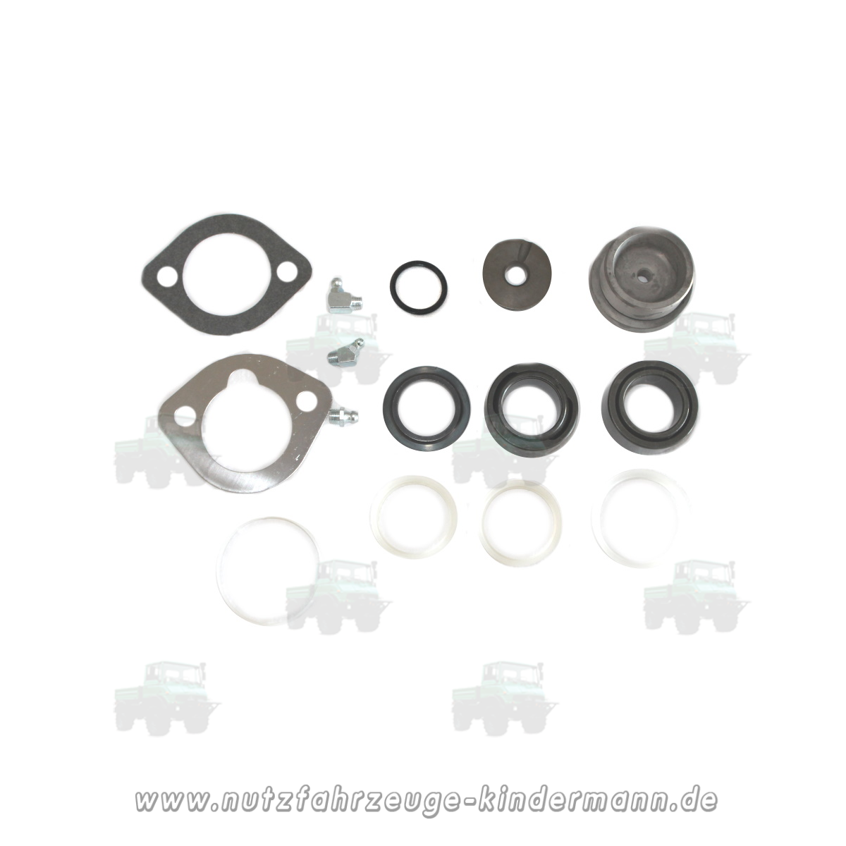 Steering knuckle repair kit (pivot bearing)