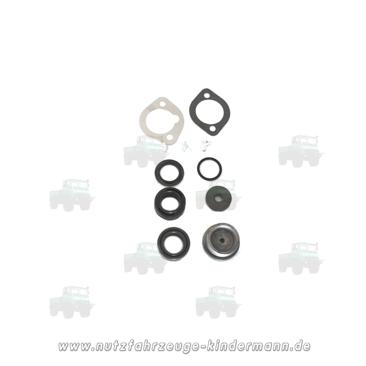 Steering knuckle repair kit (pivot bearing)
