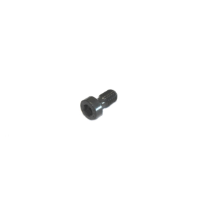 Expansion screw for swing mounting
