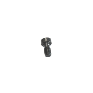 Expansion screw for swing mounting