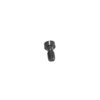Expansion screw for swing mounting