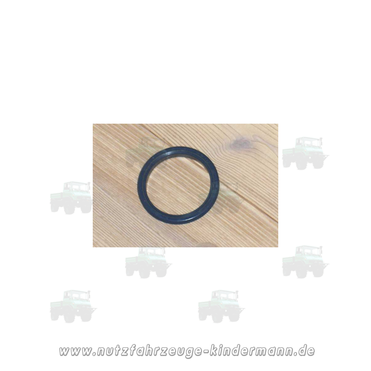 Dust ring for steering knuckle bearing box