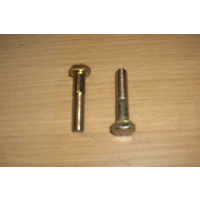 Screw for brake cover plate