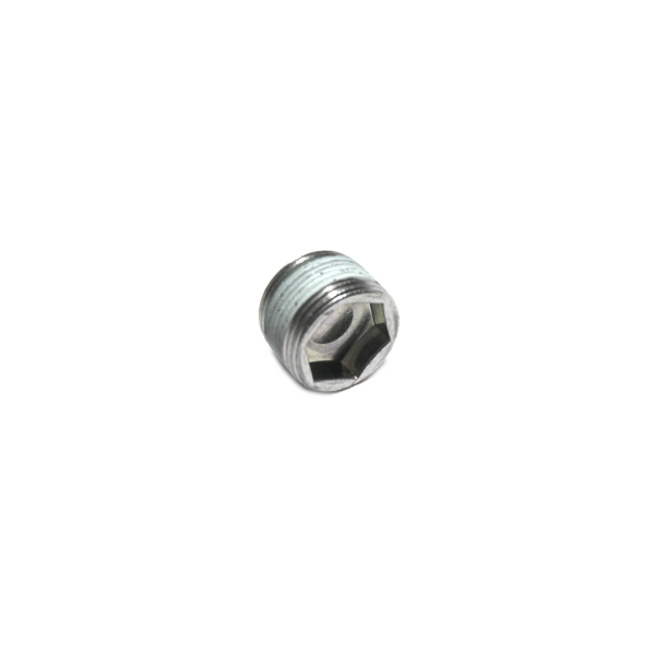 Hexagon socket screw plug with magnet