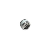 Hexagon socket screw plug with magnet