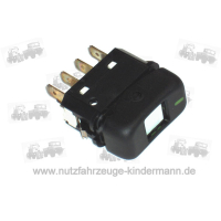 Ein - Aus Schalter 12V