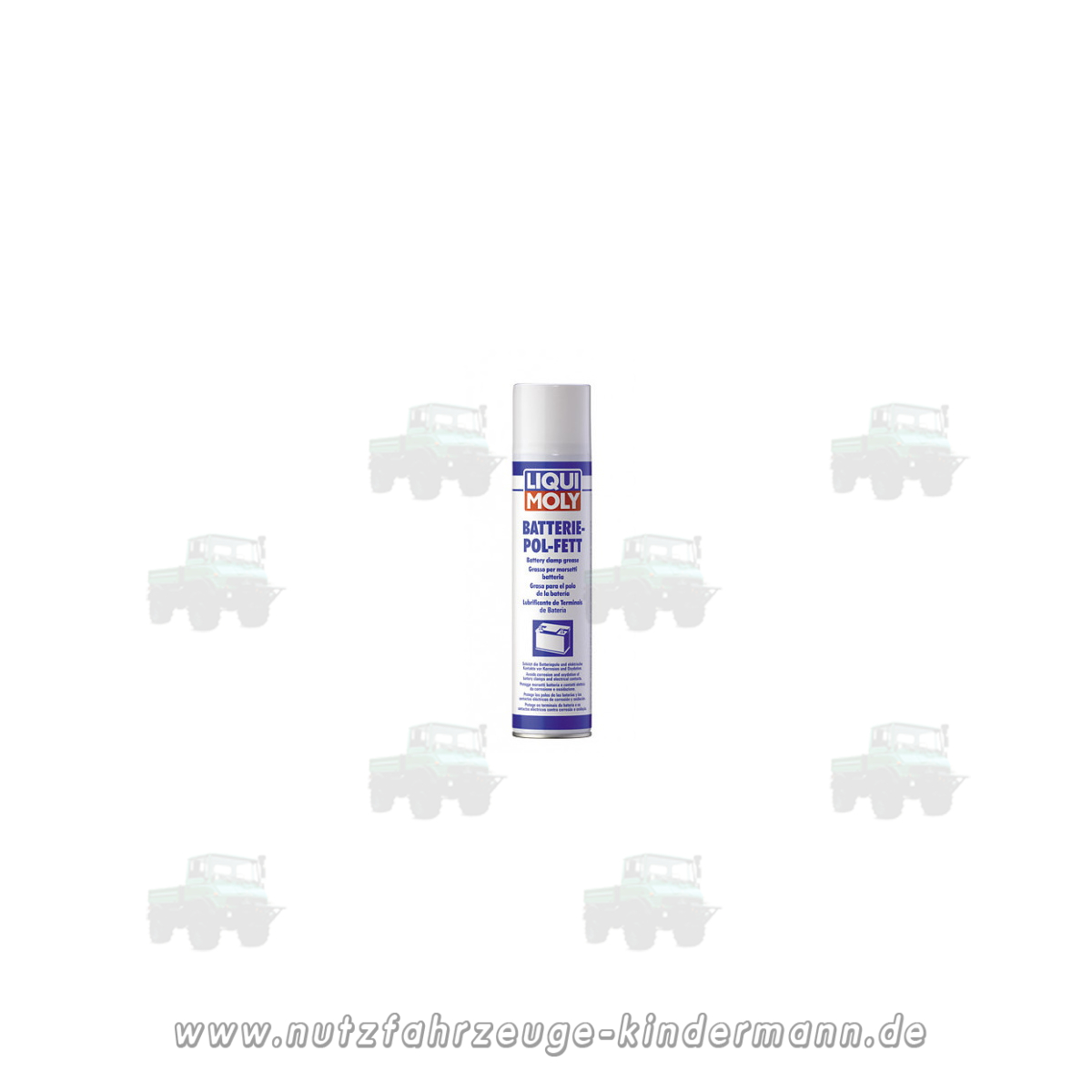 Batterie - Pol - Fett - Spray 300ml, schützt die Batter