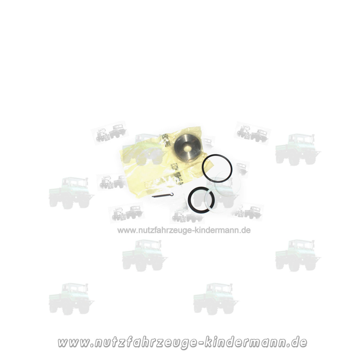 Dichtungssatz für Lenkhilfezylinder Unimog 421