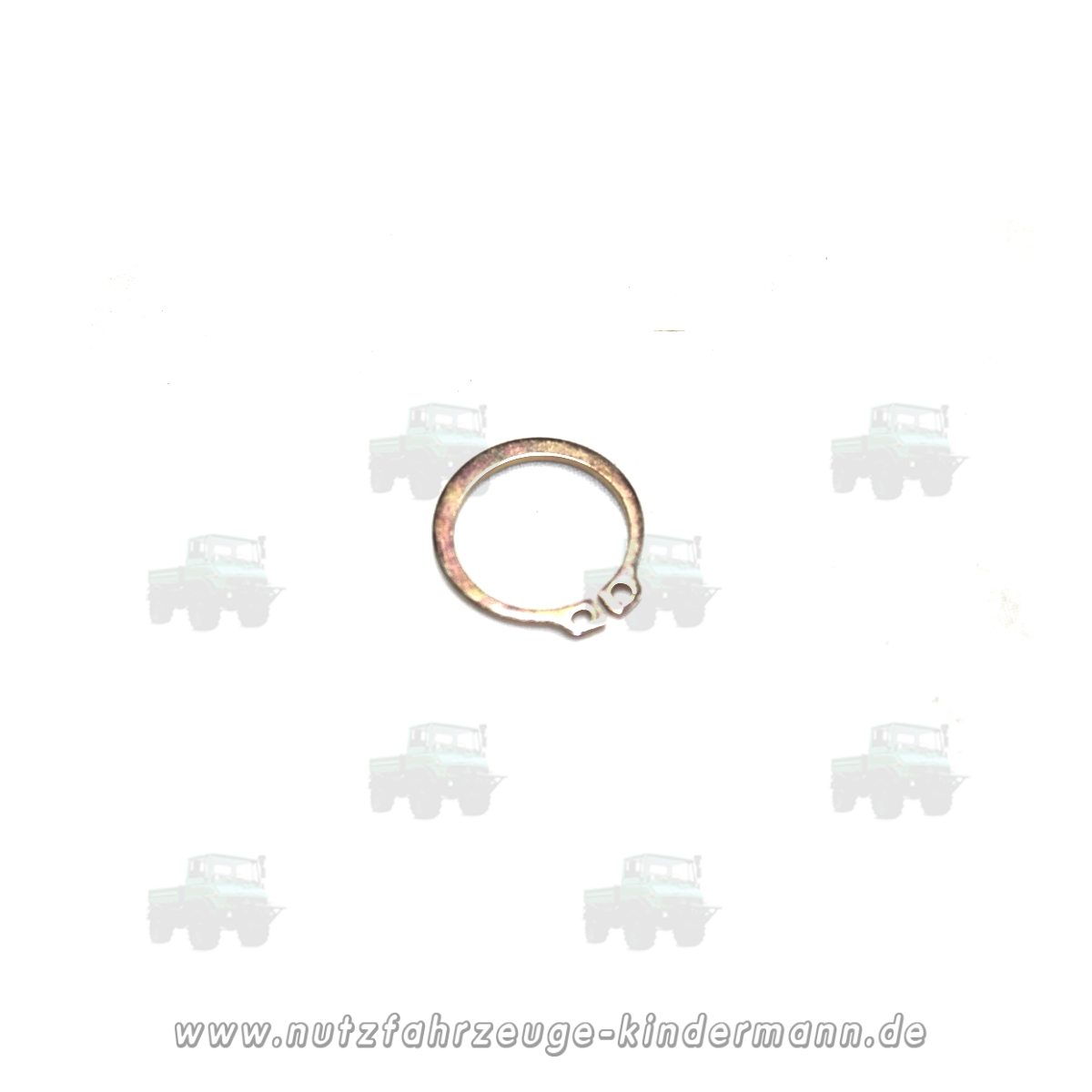 Circlip - brake shoe pin
