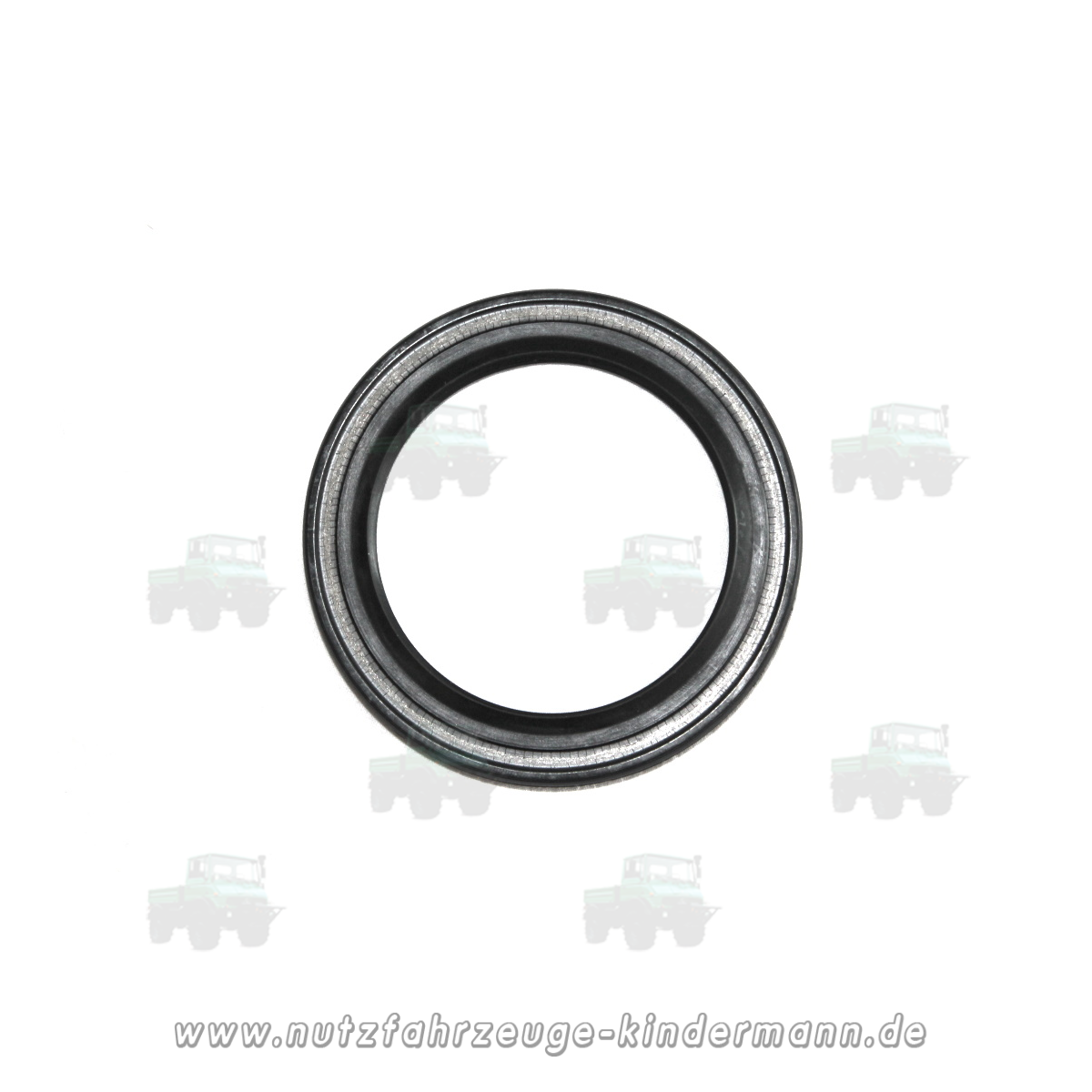 Sealing ring, wear ring - steering knuckle